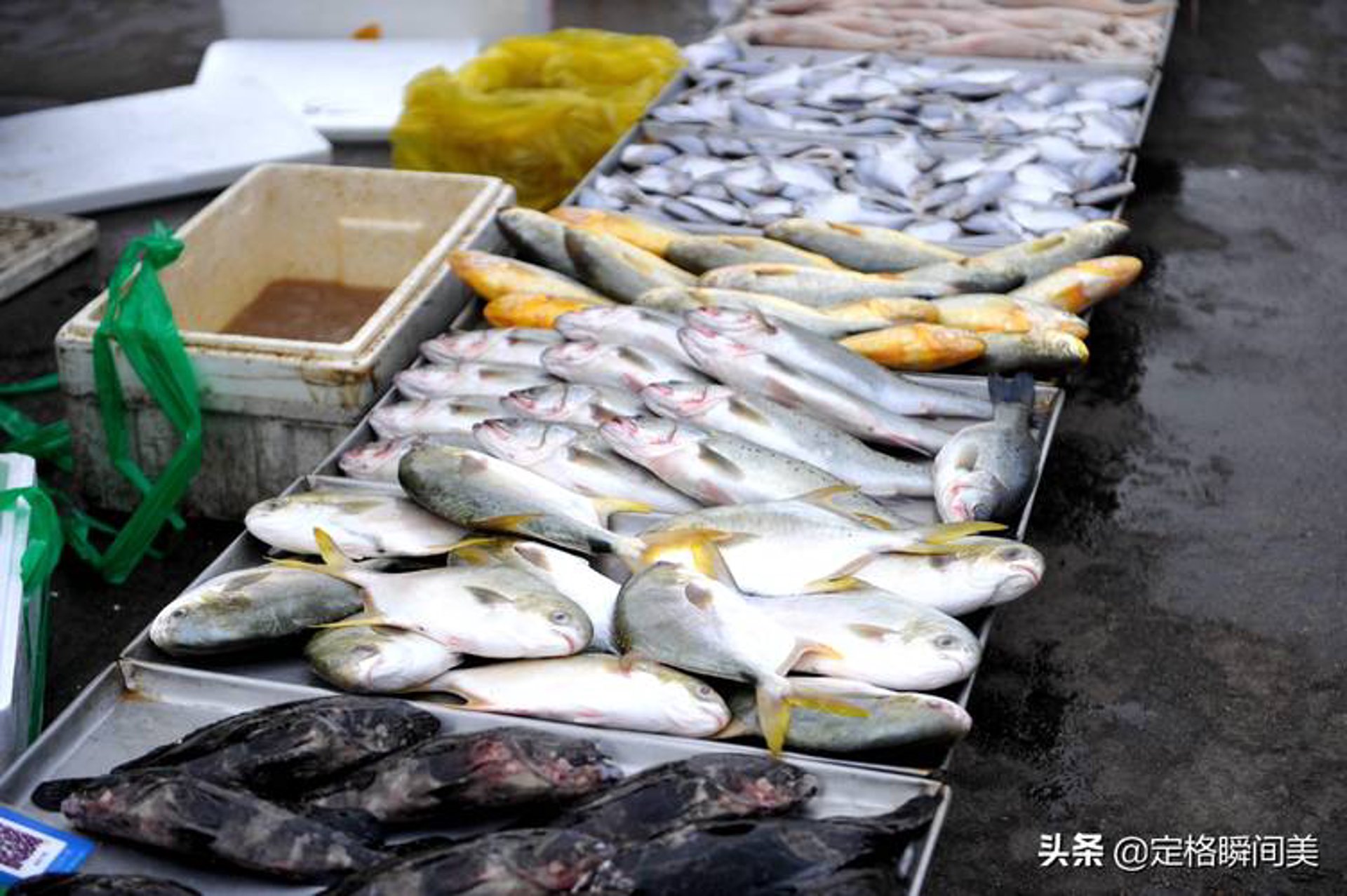 春丰海鲜食品