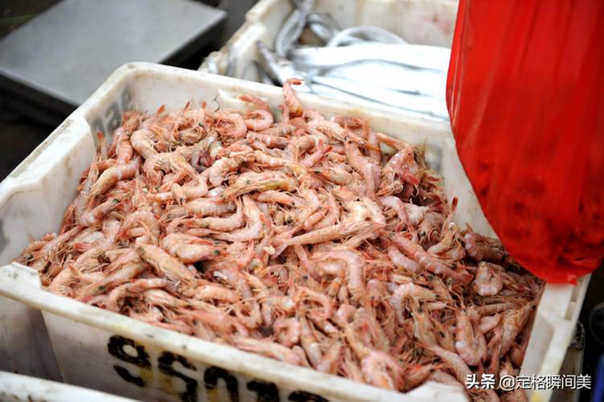 春丰海鲜食品